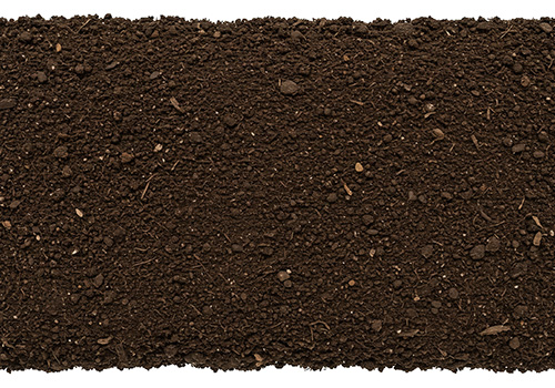 Fertile potting soil awaits planting