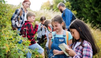 A group of small school children with teacher on field trip in nature, learning science.